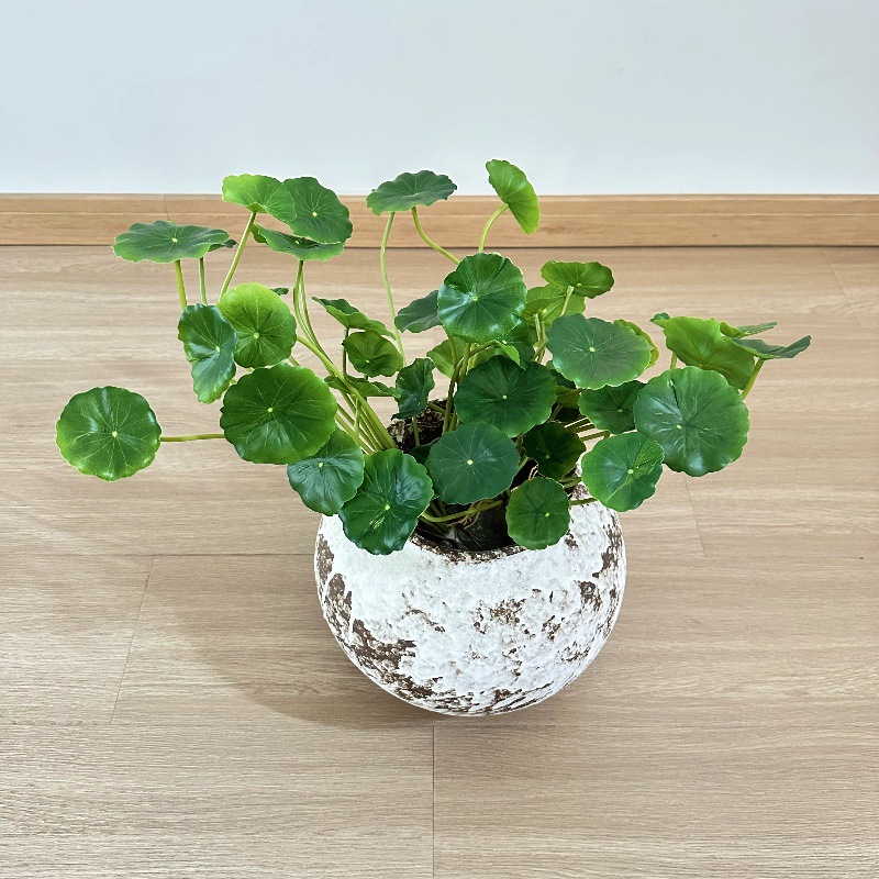 Bonsai Garden Wall - 2 Buah Daun Palsu Bonsai Pilea