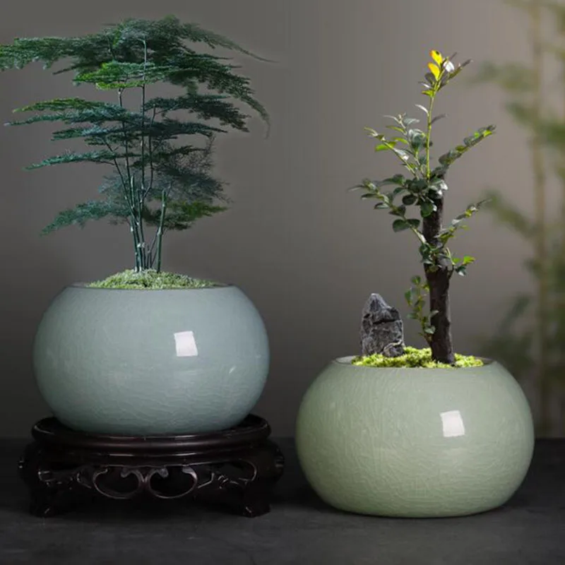 Bonsai Garden Europe - Pot Tanaman Pakis Asparagus Pot Bunga