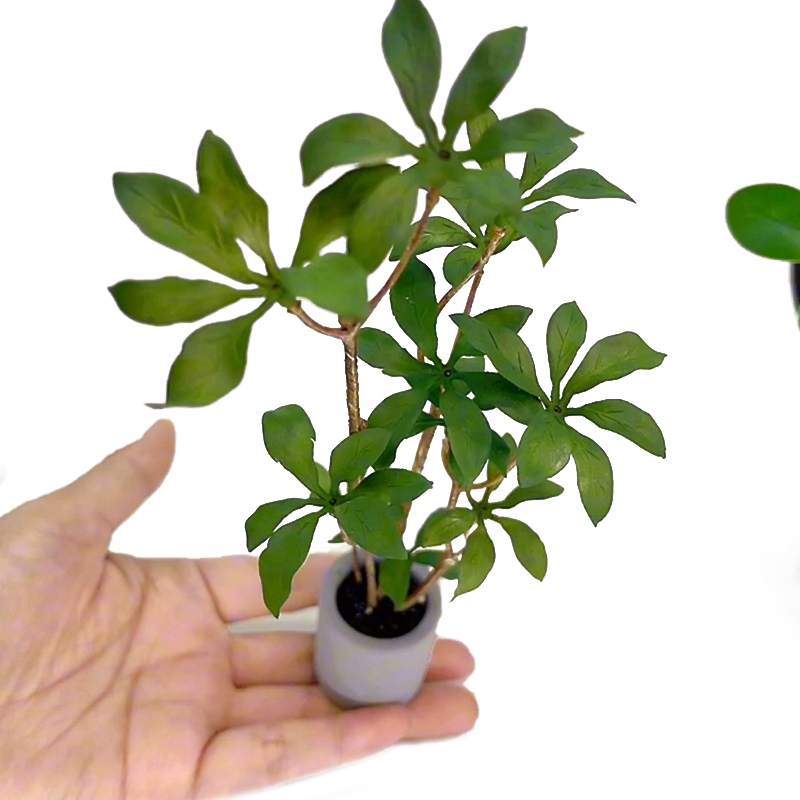 1:6 miniatur rumah boneka Mode - Bonsai Garden Plants ulasan dan harga