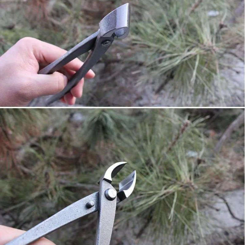 Pemotong Bonsai Bentuk Tombol, - Concave Branch Cutter ulasan dan harga