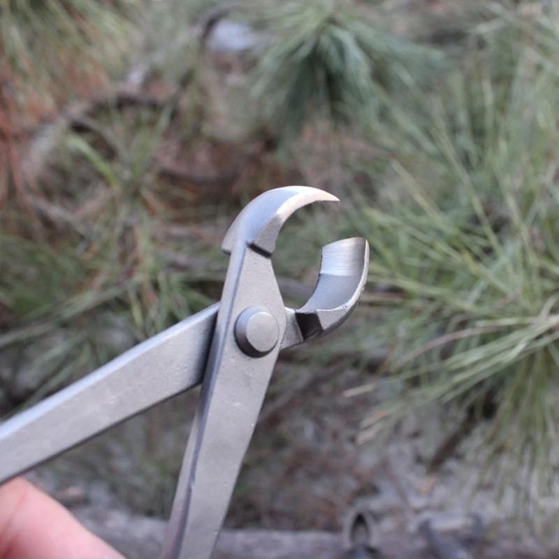 Pemotong Bonsai Bentuk Tombol, - Concave Branch Cutter ulasan dan harga