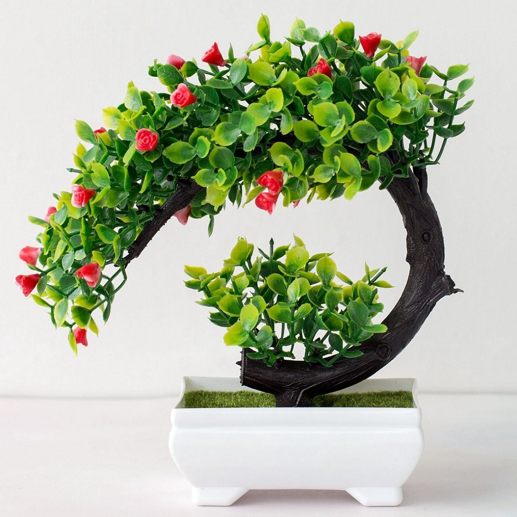 Dekorasi Pohon Tanaman Pot Bua - Bonsai Garden China ulasan dan harga