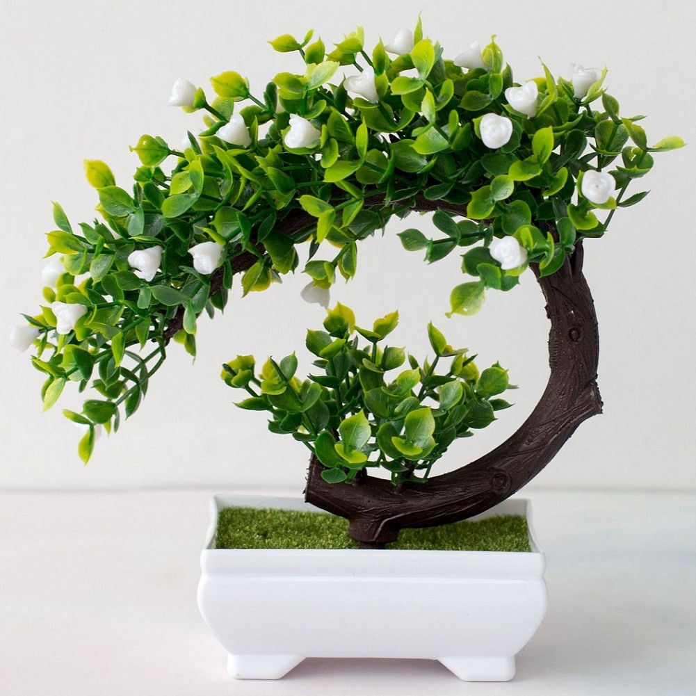 Dekorasi Pohon Tanaman Pot Bua - Bonsai Garden China ulasan dan harga