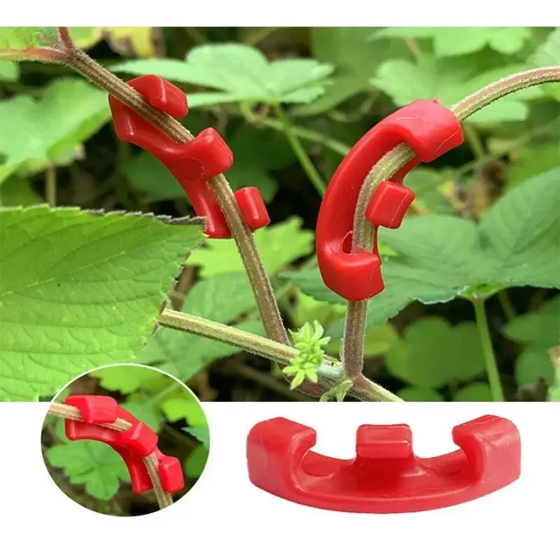 10-100Pcs Klip Pembengkok Tana - Concave Branch Cutter ulasan dan harga