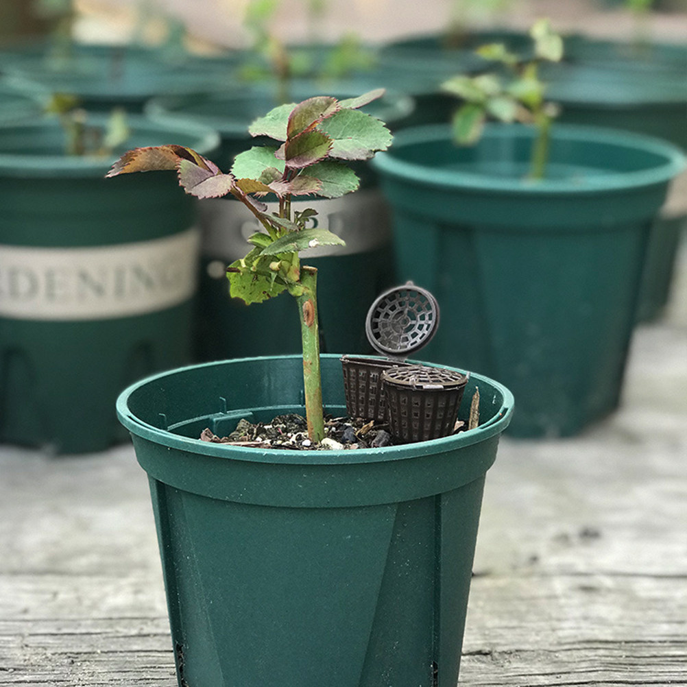 20 buah Keranjang Pupuk, Wadah - Bonsai Gardener ulasan dan harga