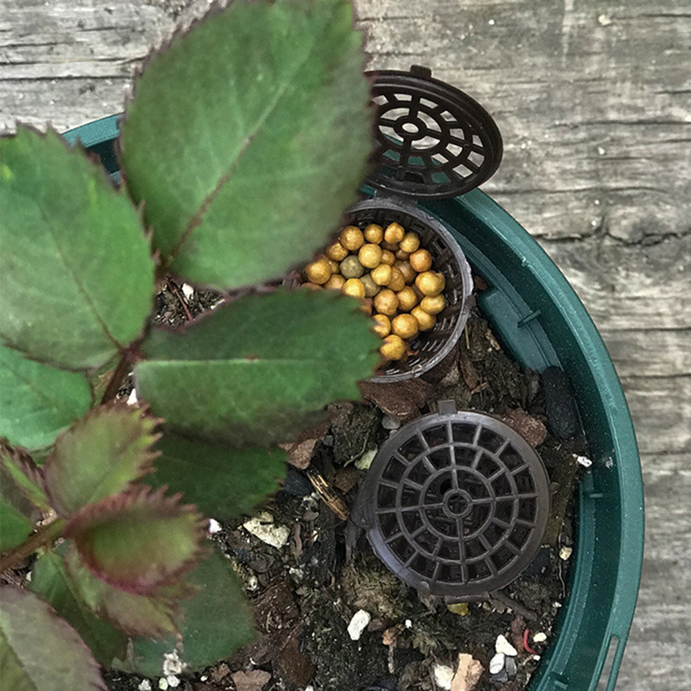 20 Buah Kotak Pupuk Plastik, K - Bonsai Gardener ulasan dan harga