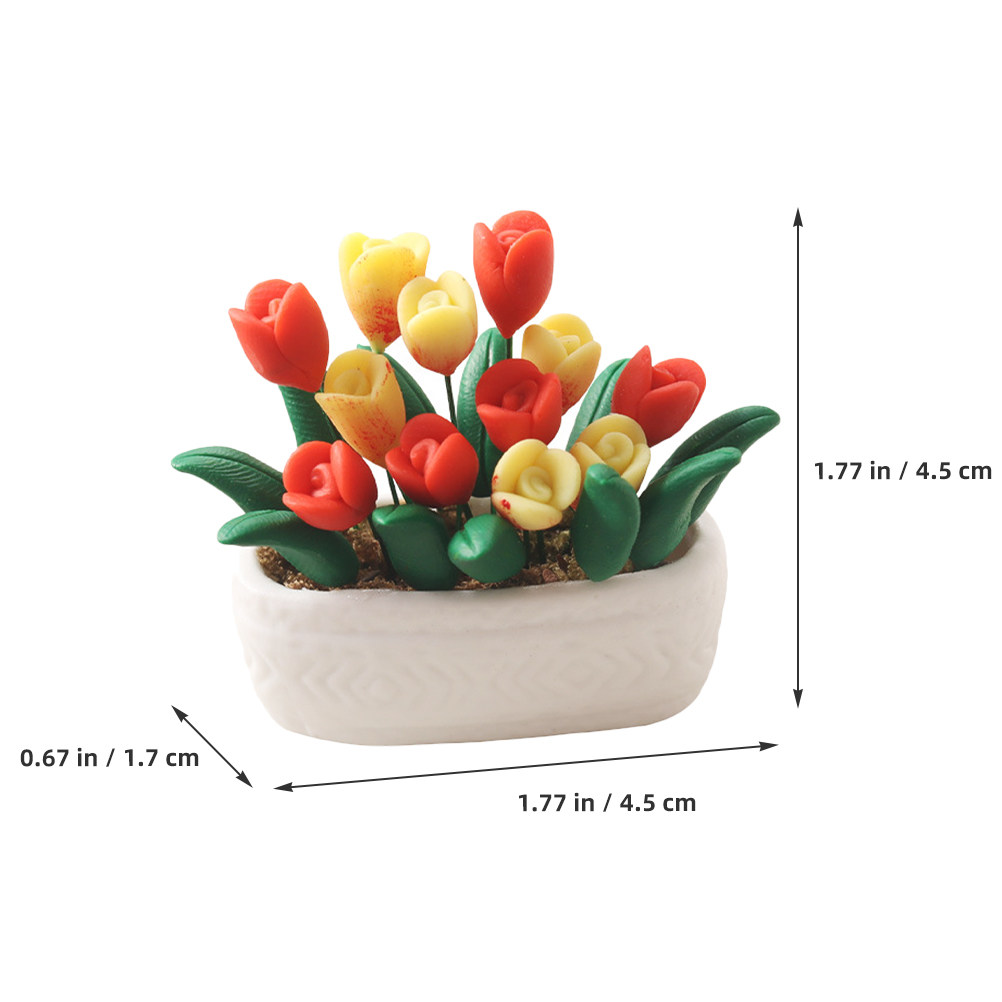 Tanaman Pot Mini Berbentuk Tul - Bonsai Garden Europe ulasan dan harga
