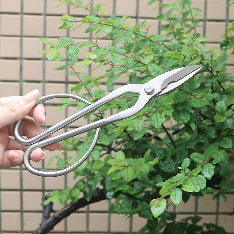 Gunting taman serba baja, gunt - Concave Branch Cutter ulasan dan harga