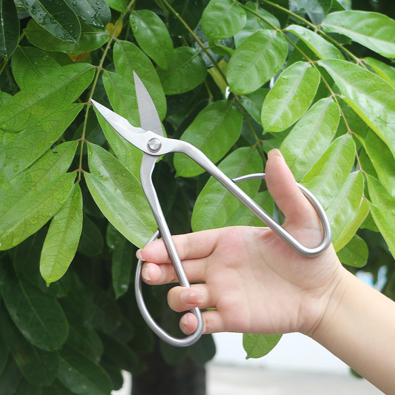 Gunting taman serba baja, gunt - Concave Branch Cutter ulasan dan harga
