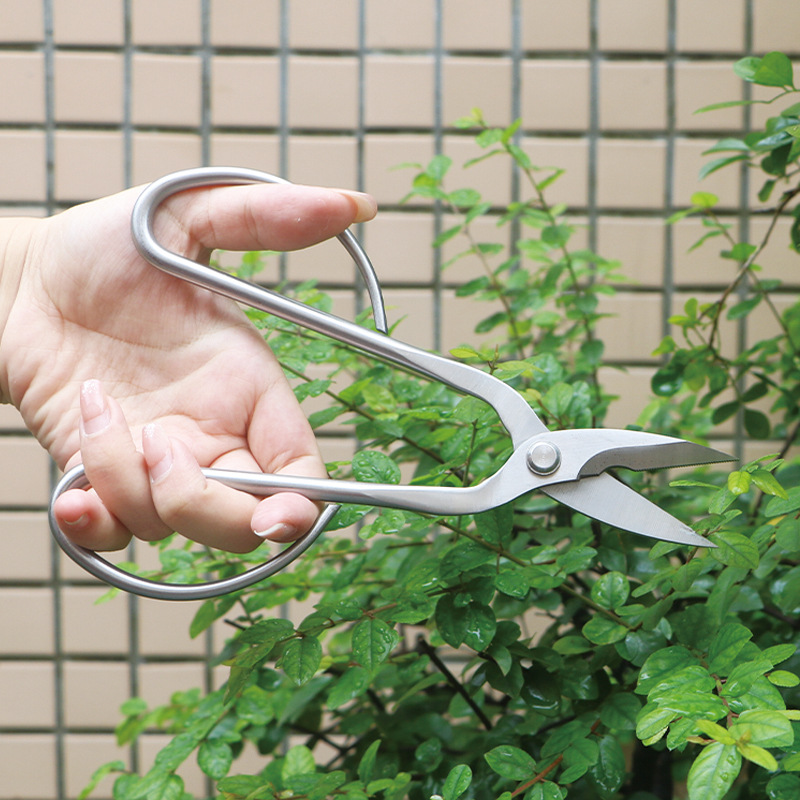 Gunting taman serba baja, gunt - Concave Branch Cutter ulasan dan harga