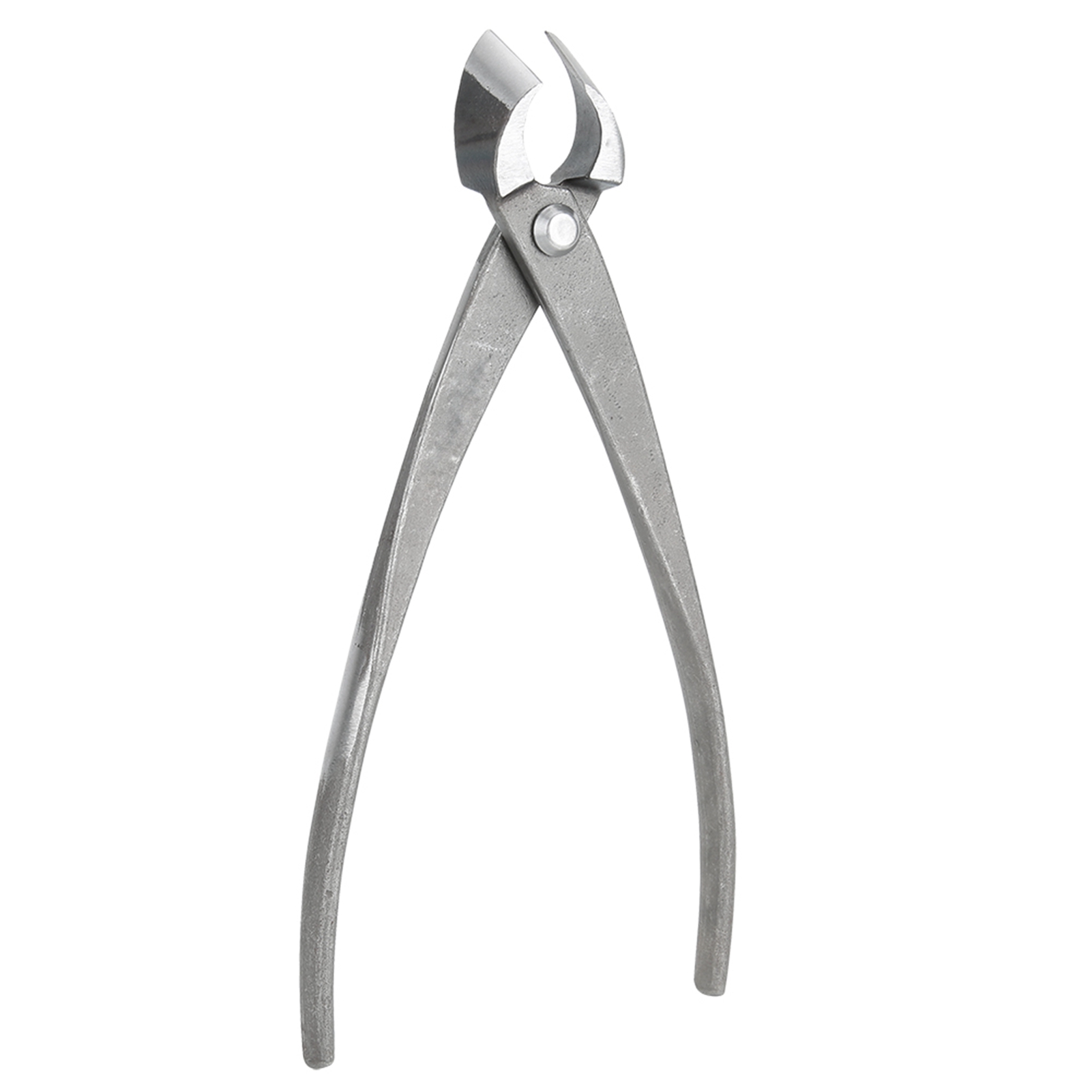 Pemotong Bonsai Multifungsi Pe - Concave Branch Cutter ulasan dan harga