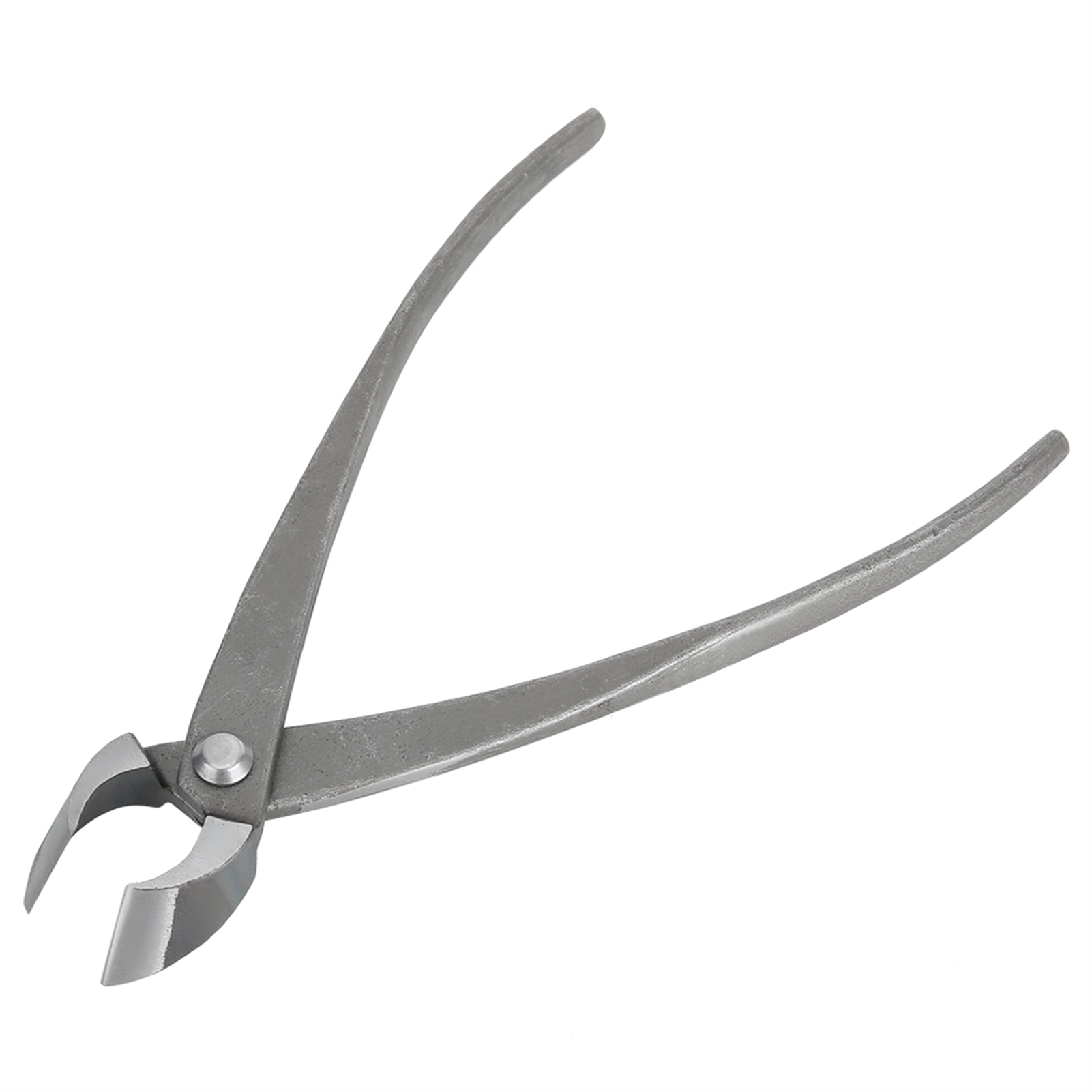 Pemotong Bonsai Multifungsi Pe - Concave Branch Cutter ulasan dan harga