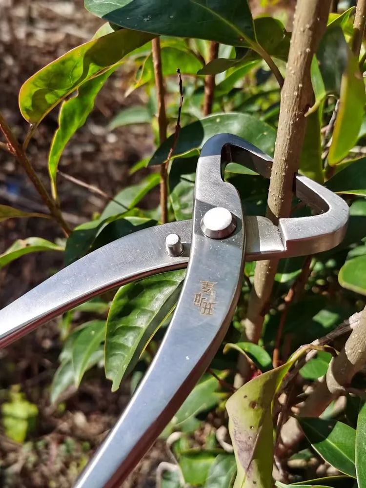 Set Alat Bonsai Profesional  K - Concave Branch Cutter ulasan dan harga