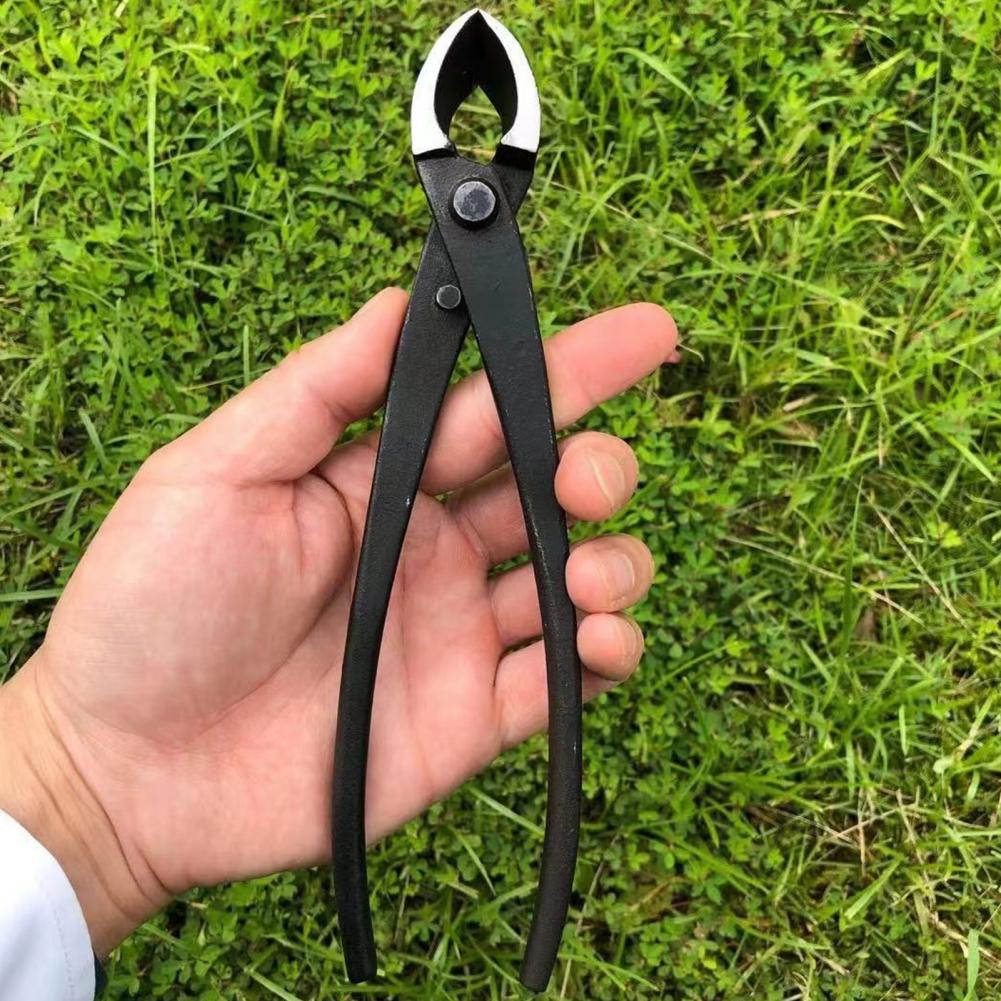 Pemotong Cabang Bonsai Cekung  - Concave Branch Cutter ulasan dan harga