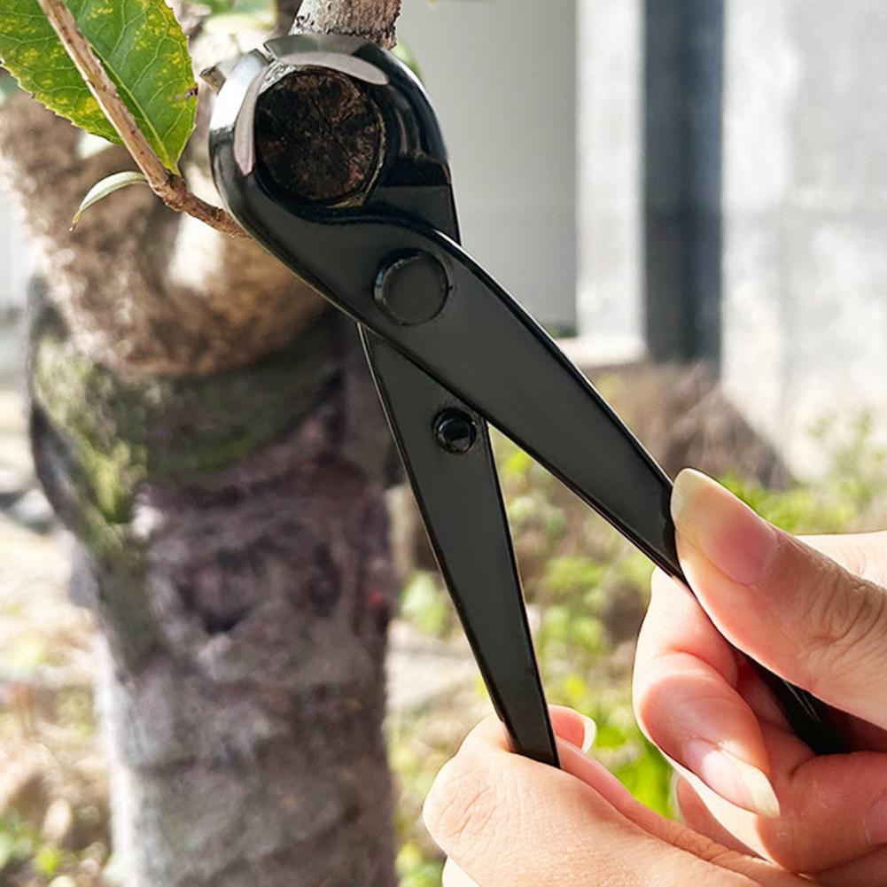 Pemotong Cabang Bonsai Cekung  - Concave Branch Cutter ulasan dan harga
