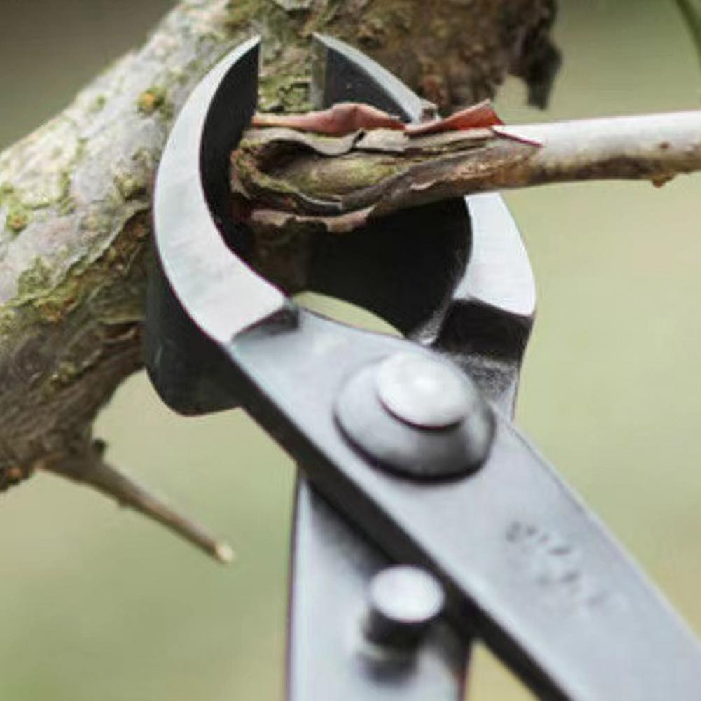 Pemotong Cabang Bonsai Cekung  - Concave Branch Cutter ulasan dan harga