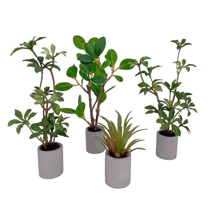 1:6 miniatur rumah boneka Pot  - Bonsai Garden Europe ulasan dan harga