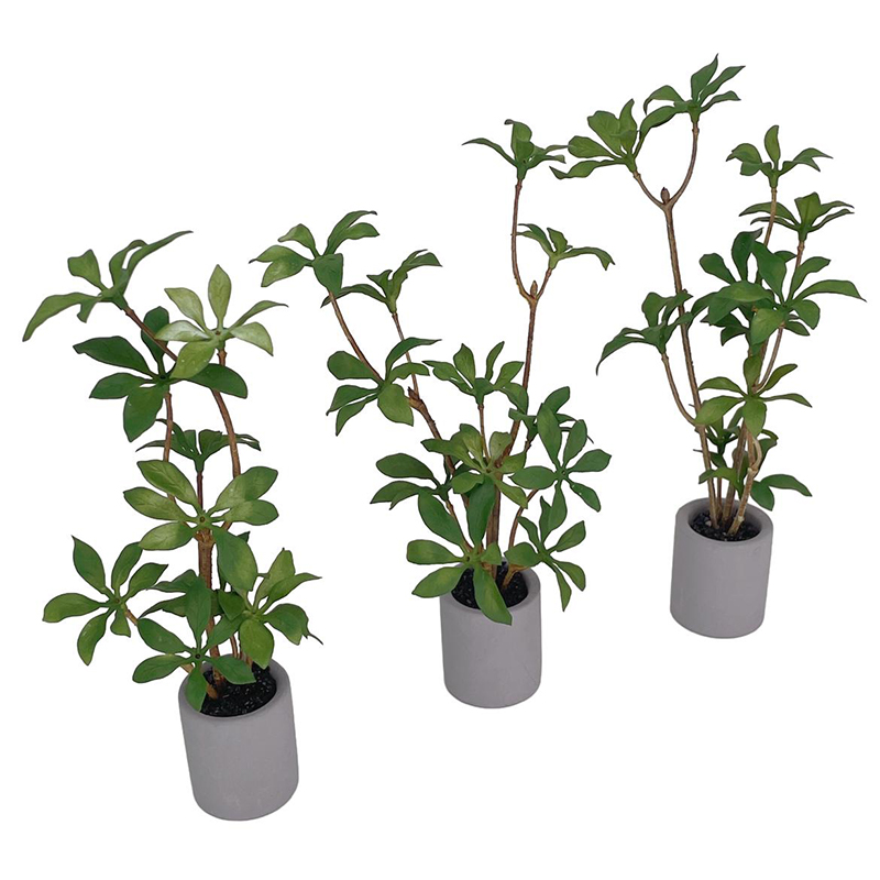 1:6 miniatur rumah boneka Pot  - Bonsai Garden Europe ulasan dan harga