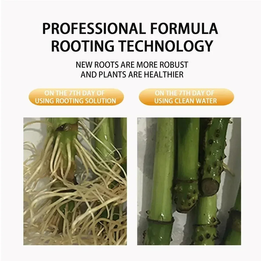 1 Buah Stimulator Rooting Cepa - Bonsai Soil Akadama ulasan dan harga