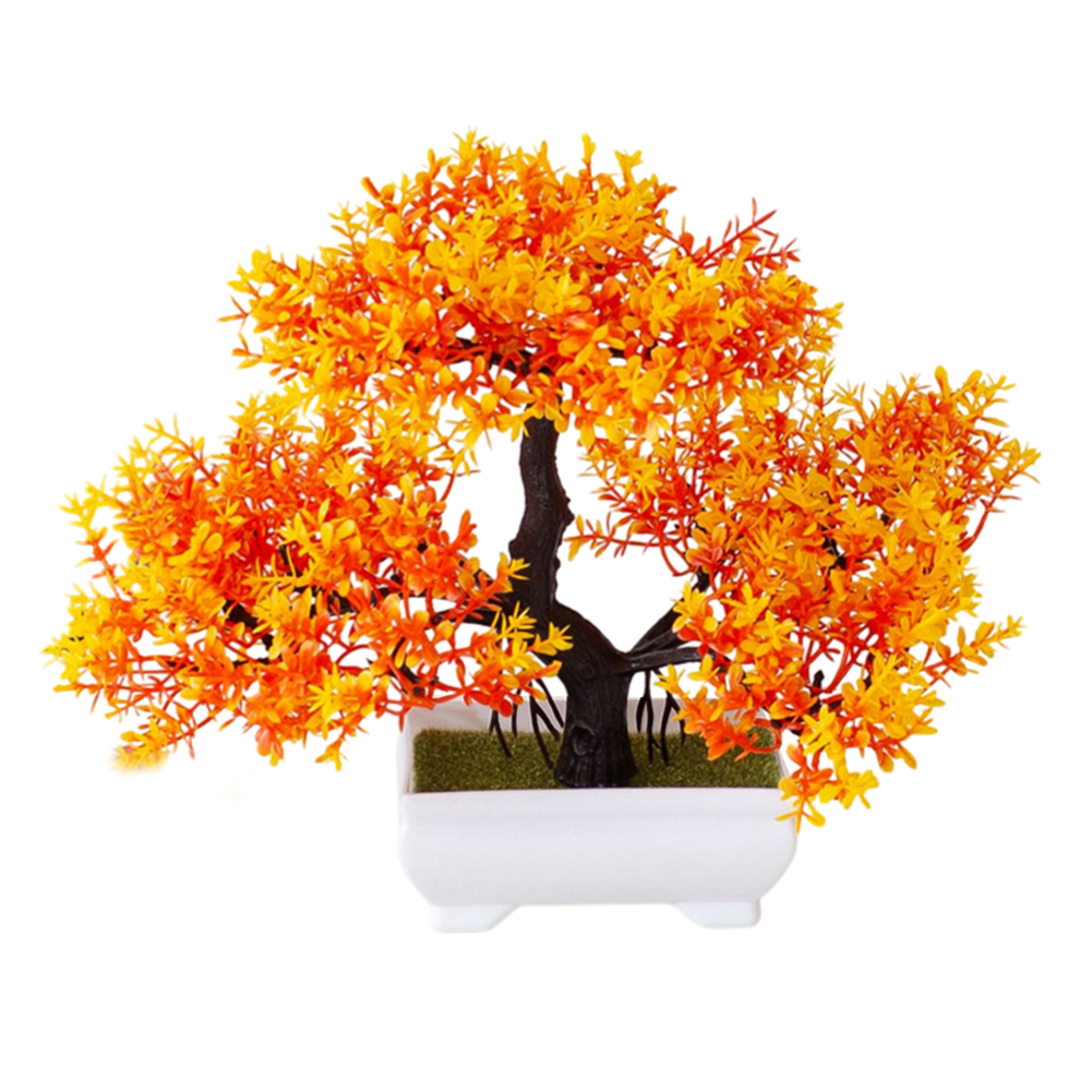 Tanaman Hias Buatan yang Mudah - Bonsai Garden Design ulasan dan harga