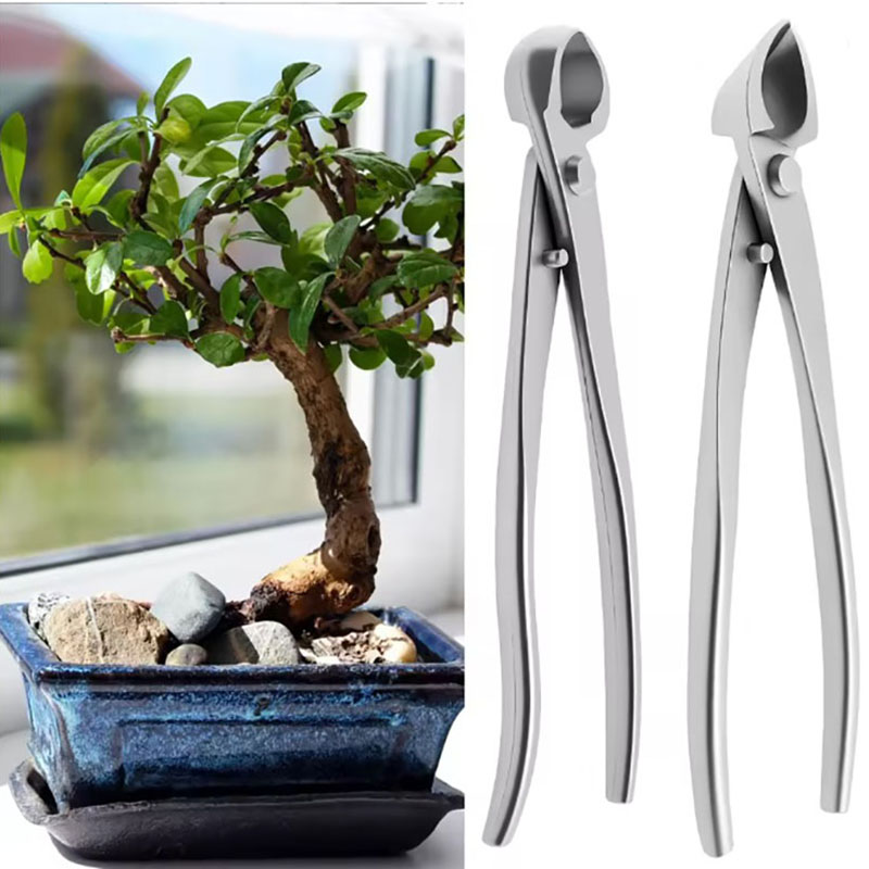 2pcs Set Alat Bonsai Baja Taha - Concave Branch Cutter ulasan dan harga