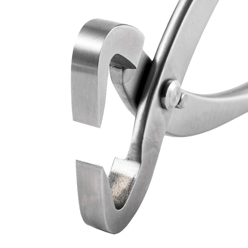 2pcs Set Alat Bonsai Baja Taha - Concave Branch Cutter ulasan dan harga