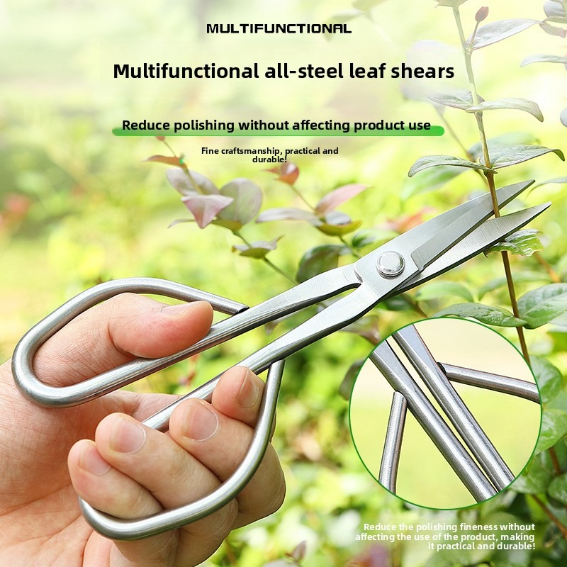 Gunting Daun Muda Alat Bonsai  - Concave Branch Cutter ulasan dan harga