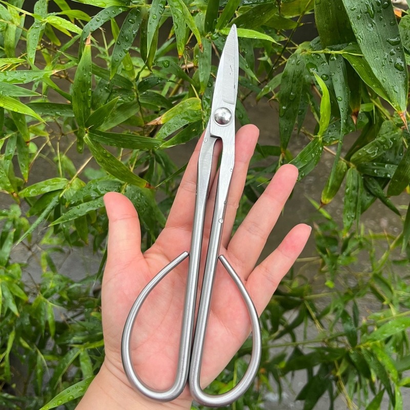 Gunting Daun Muda Alat Bonsai  - Concave Branch Cutter ulasan dan harga
