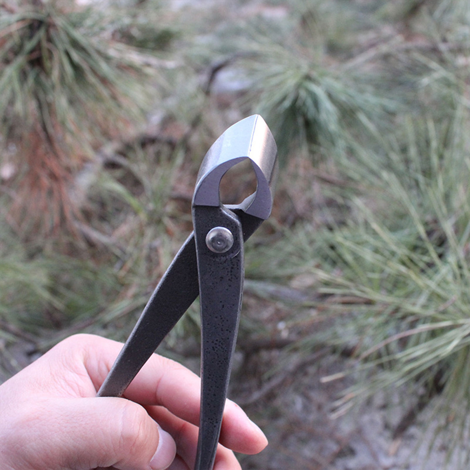 Pemotong Kenop Bonsai Taman Pe - Concave Branch Cutter ulasan dan harga