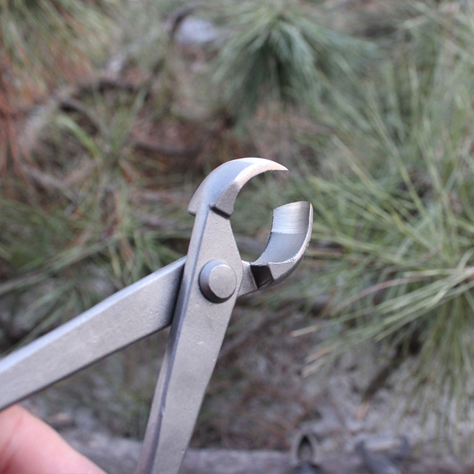Pemotong Kenop Bonsai Taman Pe - Concave Branch Cutter ulasan dan harga