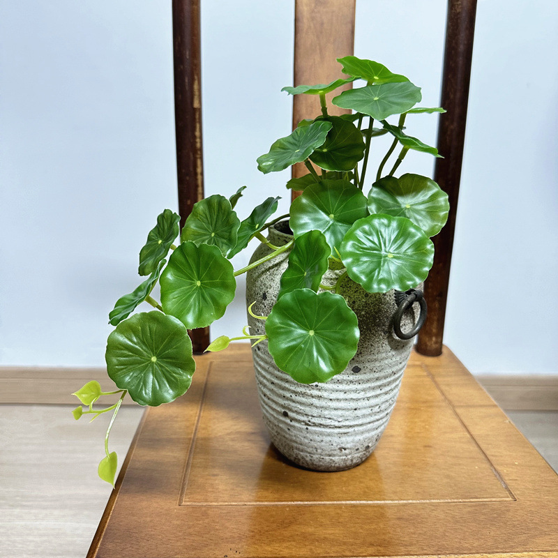 2 Buah Daun Palsu Bonsai Pilea - Bonsai Garden Wall ulasan dan harga