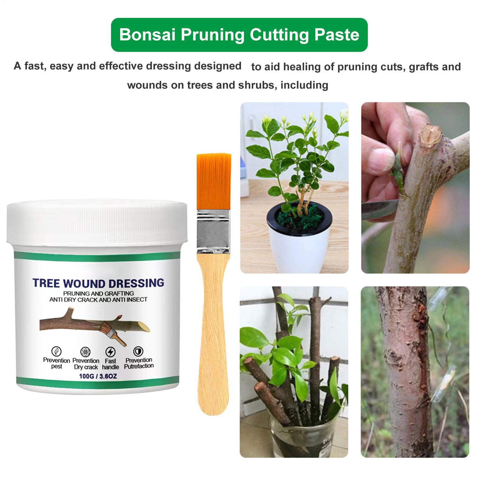 100g Penyegel Luka Pemangkasan - Bonsai Gardener ulasan dan harga