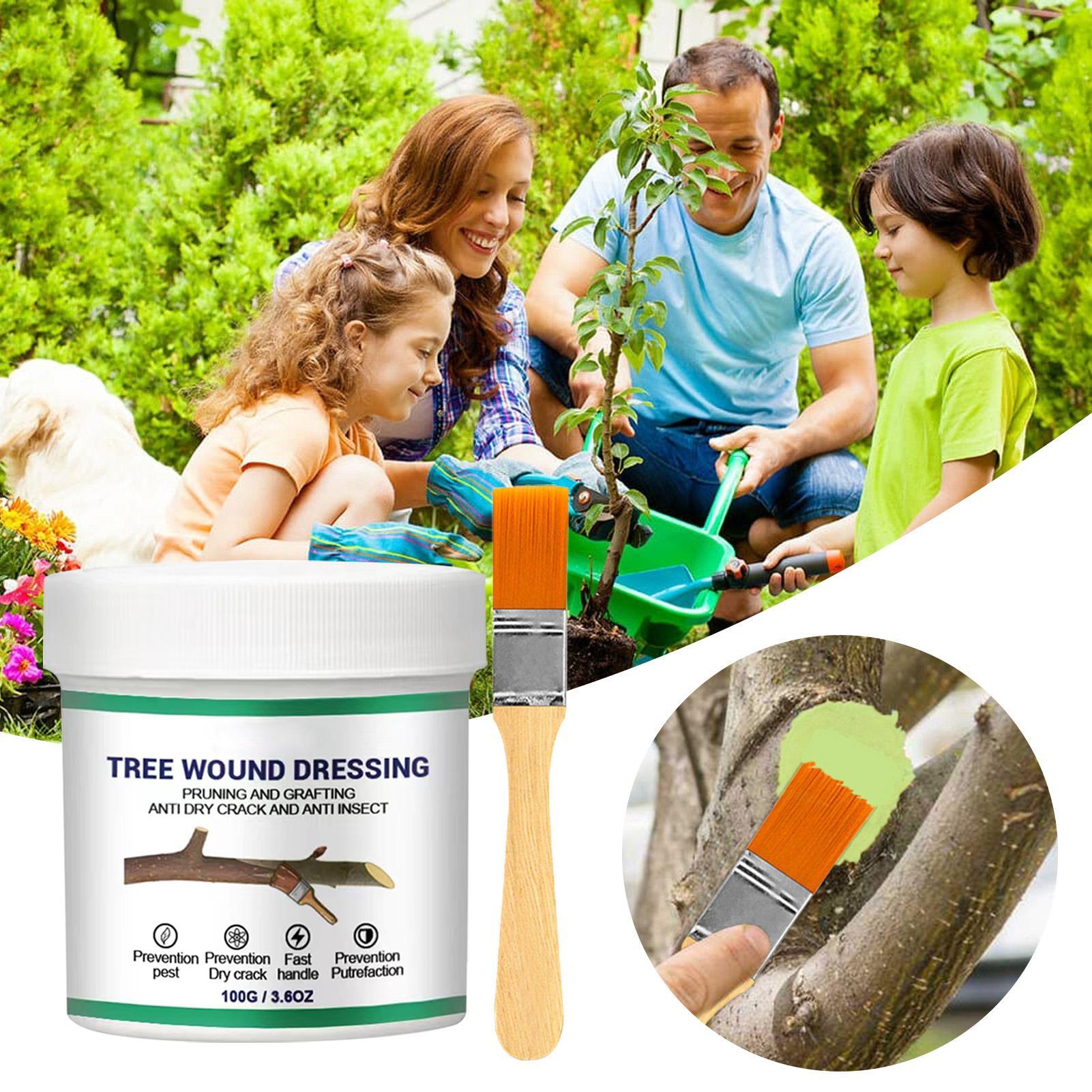 100g Penyegel Luka Pemangkasan - Bonsai Gardener ulasan dan harga