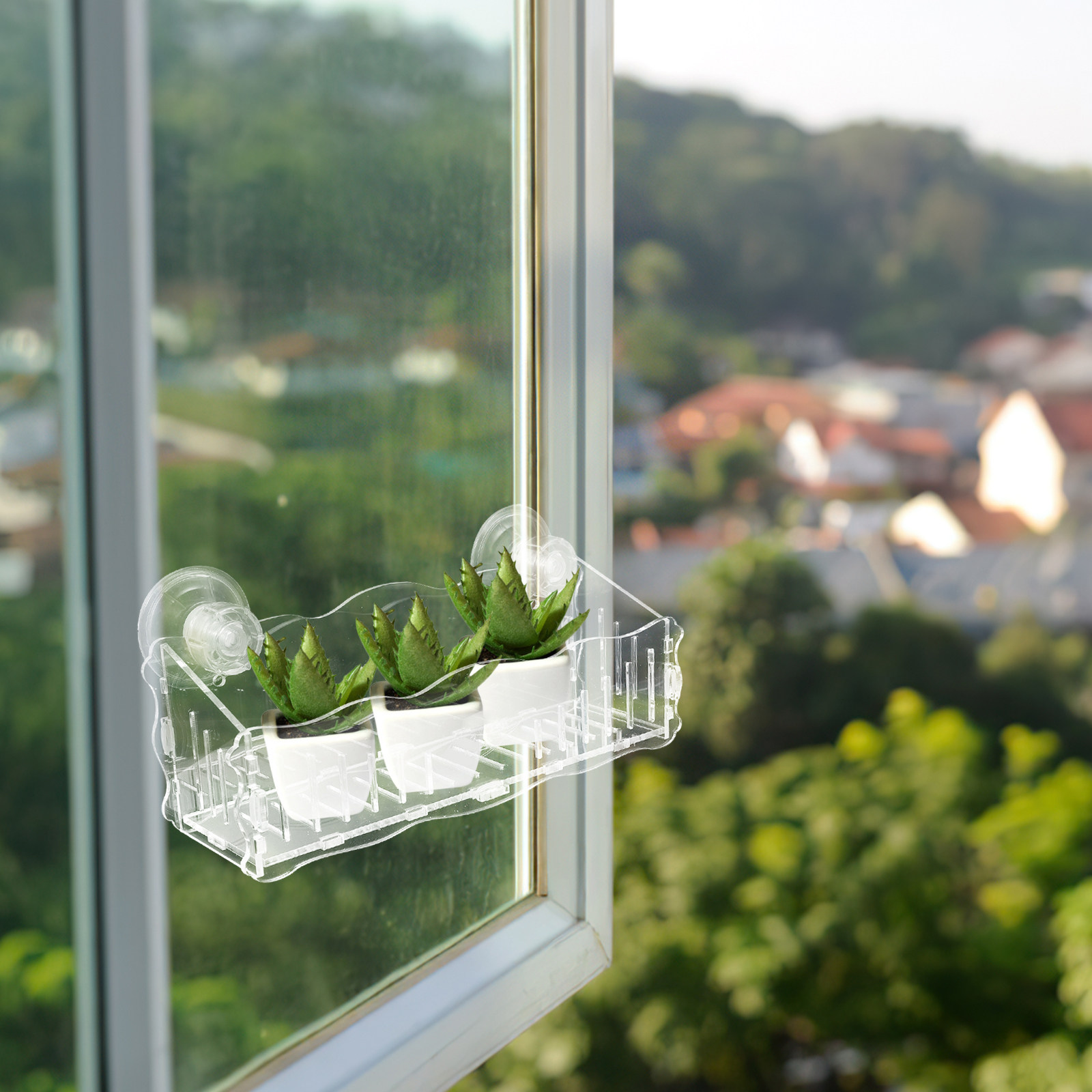 Rak Tanaman dengan Sistem Peng - Bonsai Gardener ulasan dan harga
