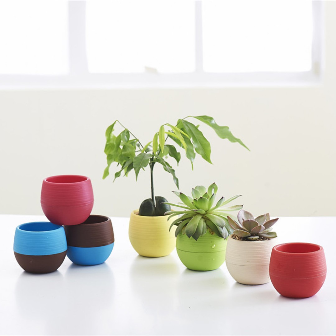 Pot Bunga Plastik Mini Berkebu - Bonsai Garden Europe ulasan dan harga