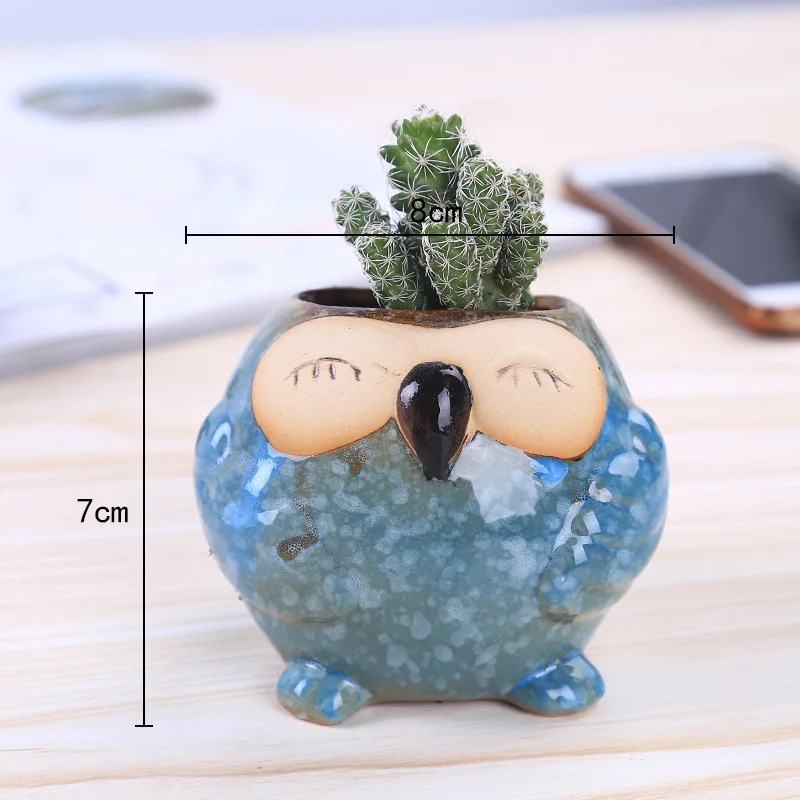 Pot Tanaman Sukulen Burung Han - Bonsai Garden Wall ulasan dan harga